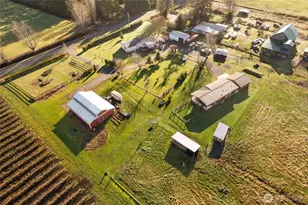 8741 Delta Line Rd, Custer, WA 98240 - Photo 5