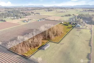 8741 Delta Line Rd, Custer, WA 98240 - Photo 3