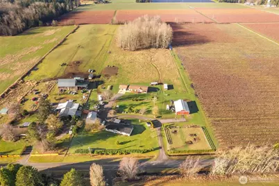 8741 Delta Line Road, Custer, WA 98240 - Photo 3