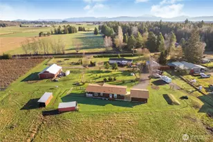 8741 Delta Line Rd, Custer, WA 98240 - Photo 7