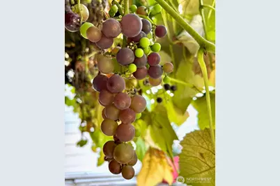 1116 E Marine View Drive, Everett, WA 98201 - Photo 29