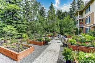 23924 NE 115th Ln, Redmond, WA 98053 - Photo 31