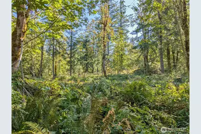 1110 350th Avenue SE, Snoqualmie, WA 98065 - Photo 5