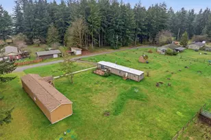 19141 Joselyn Street SW, Rochester, WA 98579 - Photo 3