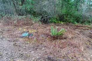 11515 189th Ave NW, Gig Harbor, WA 98329 - Photo 33