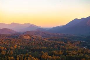 56114 343rd Ave Ct E, Ashford, WA 98304 - Photo 29