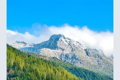 56114 343rd Avenue Ct E, Ashford, WA 98304 - Photo 25