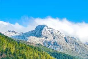 56114 343rd Ave Ct E, Ashford, WA 98304 - Photo 25