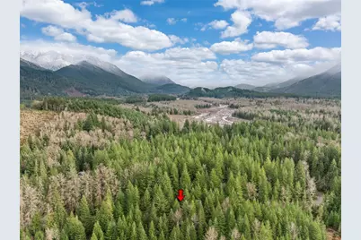 56114 343rd Avenue Ct E, Ashford, WA 98304 - Photo 21