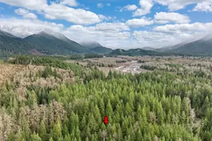 56114 343rd Ave Ct E, Ashford, WA 98304 - Photo 21