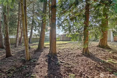 6661 E Tonia Street, Tacoma, WA 98404 - Photo 23