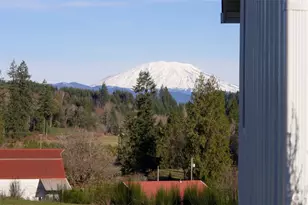 43508 NE Yale Bridge Rd, Amboy, WA 98601 - Photo 3