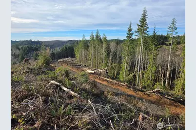 0 End Of Herbig Avenue, Aberdeen, WA 98520 - Photo 7