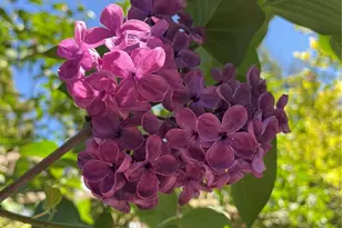 8859 20th Ave SW, Seattle, WA 98106 - Photo 37