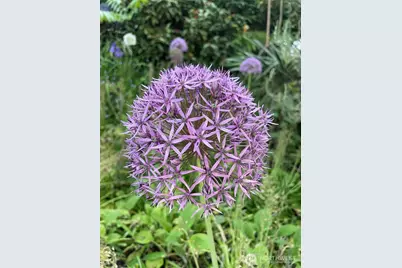 8859 20th Avenue SW, Seattle, WA 98106 - Photo 35