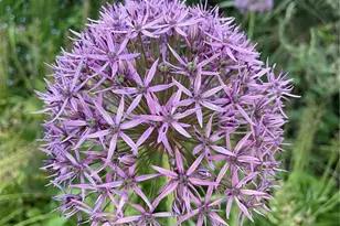 8859 20th Ave SW, Seattle, WA 98106 - Photo 35