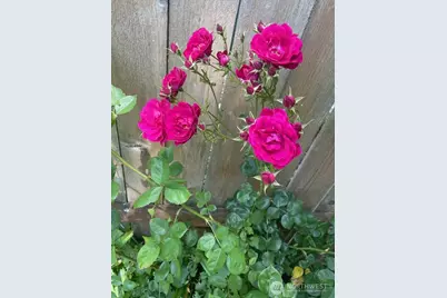 8859 20th Avenue SW, Seattle, WA 98106 - Photo 29