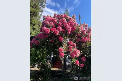 8859 20th Avenue SW, Seattle, WA 98106 - Photo 31