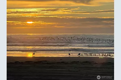 420 Swordfern Court SW, Ocean Shores, WA 98569 - Photo 21