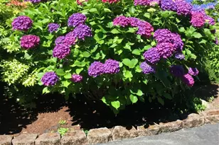 3228 227th St SW, Brier, WA 98036 - Photo 5