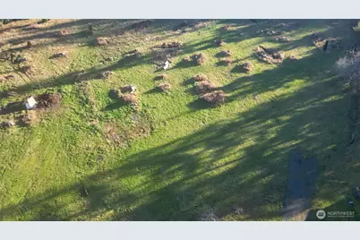 441 Elma Hicklin Rd W, McCleary, WA 98557 - Photo 3