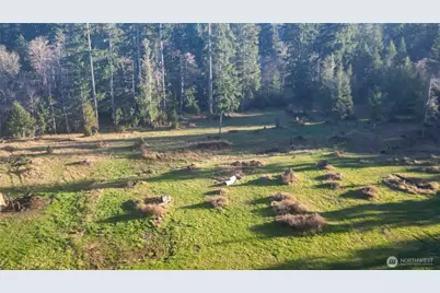 443 Elma Hicklin Rd W, McCleary, WA 98557 - Photo 5