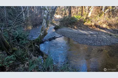 443 Elma Hicklin Rd W, McCleary, WA 98557 - Photo 3