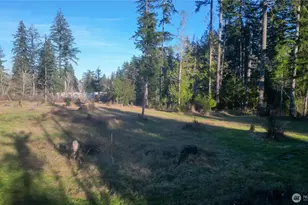 443 Elma Hicklin Rd W, McCleary, WA 98557 - Photo 1