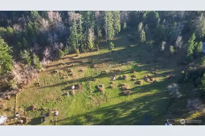 443 Elma Hicklin Rd W, McCleary, WA 98557 - Photo 7