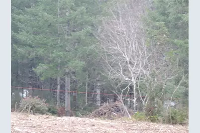 4 Cottonwood, Grapeview, WA 98546 - Photo 7