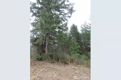 4 Cottonwood, Grapeview, WA 98546 - Photo 13