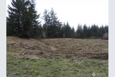 4 Cottonwood, Grapeview, WA 98546 - Photo 9