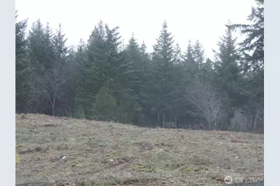 4 Cottonwood, Grapeview, WA 98546 - Photo 7