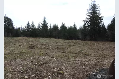 4 Cottonwood, Grapeview, WA 98546 - Photo 17