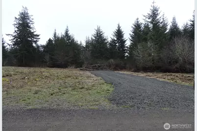 4 Cottonwood, Grapeview, WA 98546 - Photo 5