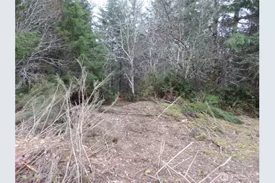 4 Cottonwood, Grapeview, WA 98546 - Photo 11