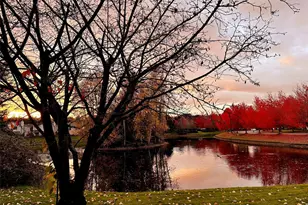 23311 59th Pl S, Kent, WA 98032 - Photo 23