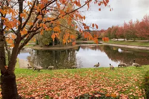 23311 59th Pl S, Kent, WA 98032 - Photo 25