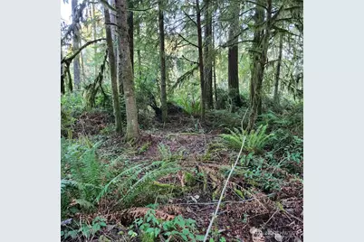 17616 30th Street NW, Home, WA 98349 - Photo 23