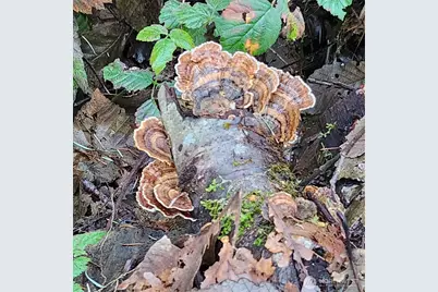 17616 30th Street NW, Home, WA 98349 - Photo 19