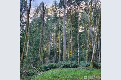 17616 30th Street NW, Home, WA 98349 - Photo 13