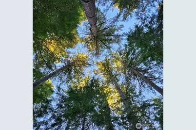 17616 30th Street NW, Home, WA 98349 - Photo 21