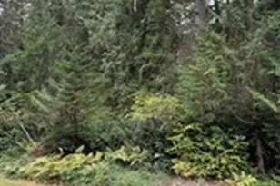 9229 Kootenia Dr, Anderson Island, WA 98303 - Photo 1