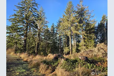 2753 State Route 101, Ilwaco, WA 98624 - Photo 5