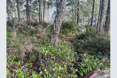 40 E Paint Brush Lane, Union, WA 98592 - Photo 5