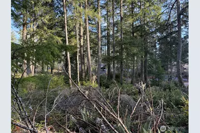 40 E Paint Brush Lane, Union, WA 98592 - Photo 3