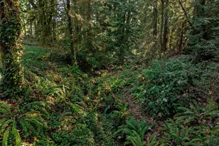 5811 Wollochet Dr NW, Gig Harbor, WA 98335 - Photo 35