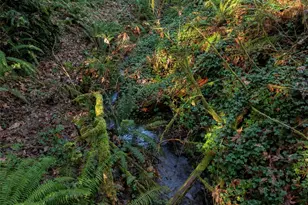 5811 Wollochet Dr NW, Gig Harbor, WA 98335 - Photo 33