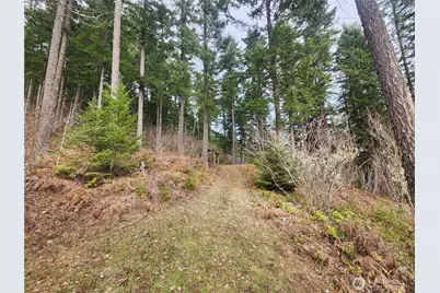 1951 Bear Creek Road, Carson, WA 98610 - Photo 23