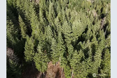 1951 Bear Creek Road, Carson, WA 98610 - Photo 5